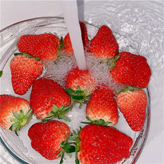 🍓Last Day 50% OFF🍓Strawberry Cream Seeds